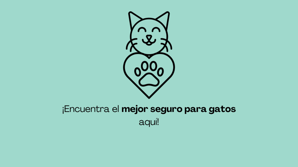 el mejor seguro para gatos